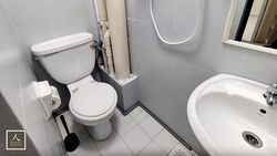 The Tanamera (D16), Condominium #496072181